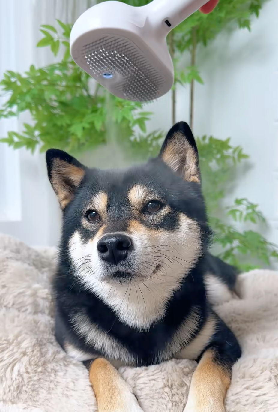 FurFresh Mist Brush