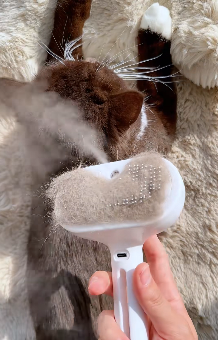 FurFresh Mist Brush
